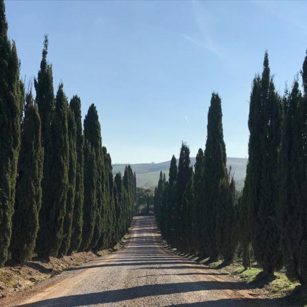 Podere Piazza Σιένα Εξωτερικό φωτογραφία