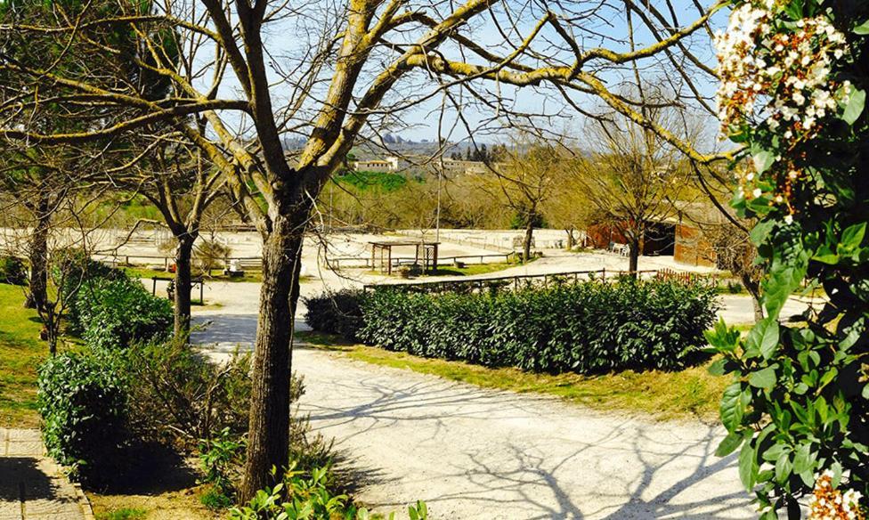 Podere Piazza Σιένα Εξωτερικό φωτογραφία